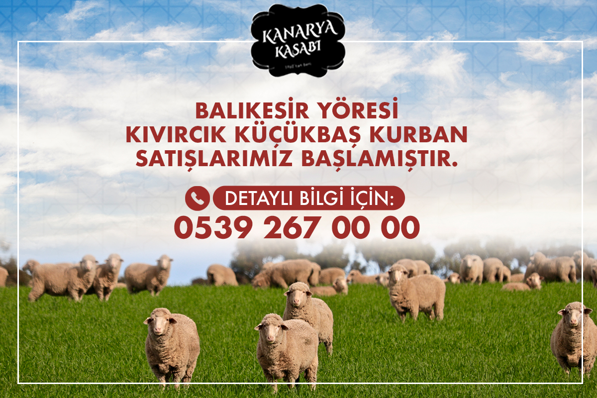 kurban-popup.jpg (876 KB)